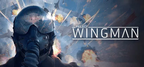 Project Wingman Torrent PC Download