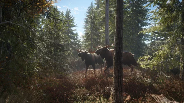 theHunter Call of the Wild Torrent PC Download